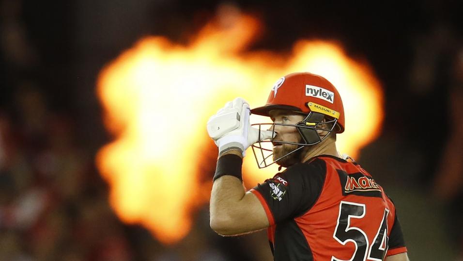 Cricketer Dan Christian